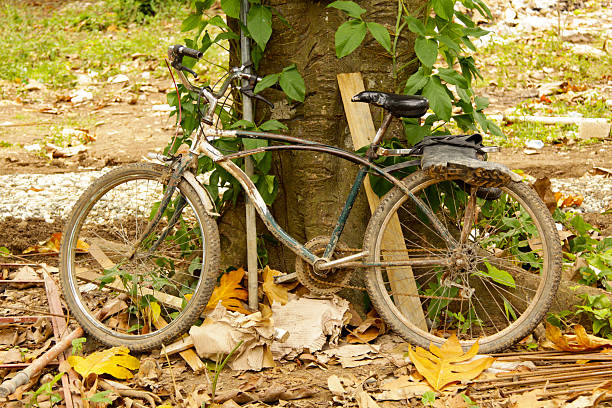 Bicycle in forest stock photo