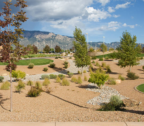 Southwest Desert Commerical Xeriscape Landscape