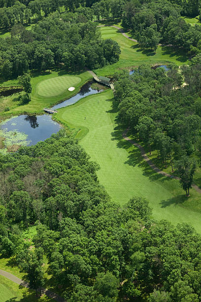istock Aerial view of golf fairway and green 176814671