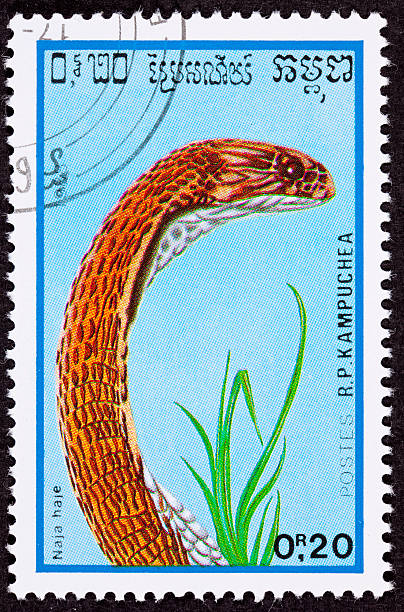istock Canceled Cambodian Postage Stamp Copper Colored Egyptian Cobra Naja Haje 176815113