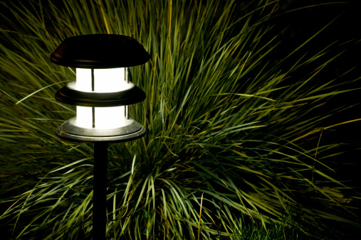 A solar-powered lamp illuminates a grass plant (not a lawn).