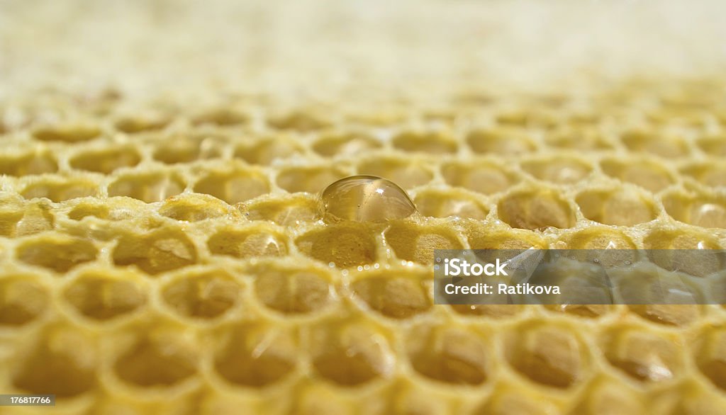 One honey drop. Over empty honeycombs is one full with drop of honey. Drop Stock Photo