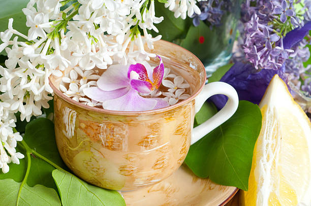 cup of tea "cup of tea and spring branch, flowercup of tea and spring  flower" sooth stock pictures, royalty-free photos & images