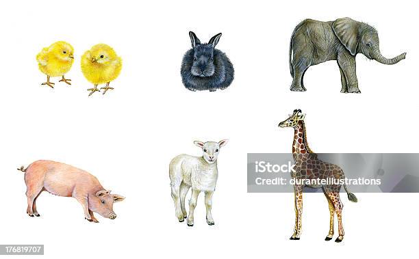Baby Animals Stock Illustration - Download Image Now - Elephant Calf,  Illustration, Animal - iStock
