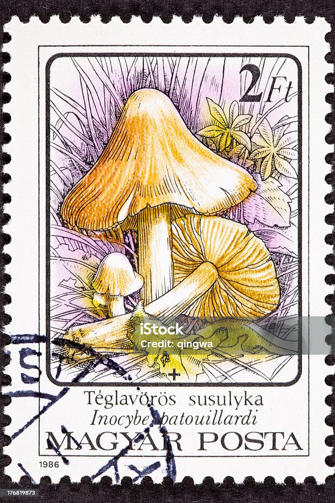 Annulé hongrois Timbre-poste Inocybe Erubescen/Patouillardi venimeux de champignons sauvages - Photo de Annulation libre de droits