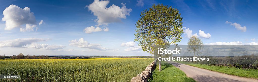 English printemps farmland and country Route panoramique pittoresque. - Photo de Accotement herbeux libre de droits