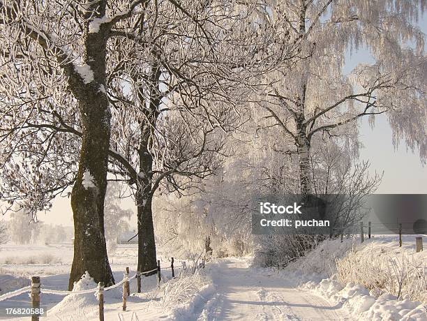 Camino De Invierno Foto de stock y más banco de imágenes de Aire libre - Aire libre, Aislado, Belleza