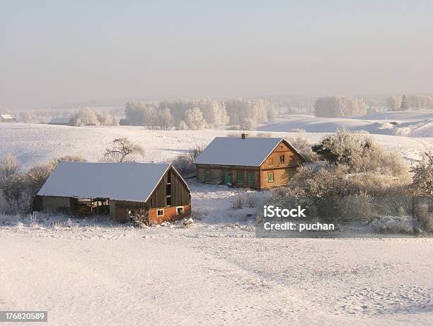 Зимний Ферма — стоковые фотографии и другие картинки Без людей - Без людей, Белый, Ветвь - часть растения