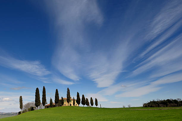 istock Farmehouse with cypress trees and misty sky 2 176821049