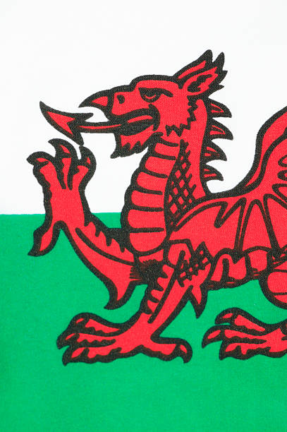 flaga walii - welsh flag welsh culture flag green zdjęcia i obrazy z banku zdjęć