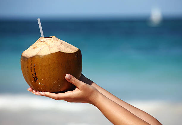 Woman`s hands holding coconut stock photo
