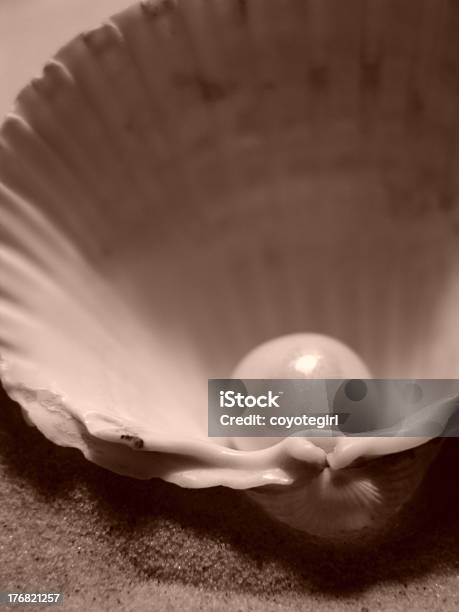 Pearl2 Stock Photo - Download Image Now - Animal Shell, Cay, Gemstone