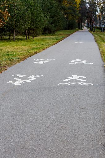 Bicycle and pedestrian path with asphalt pavement in the park.