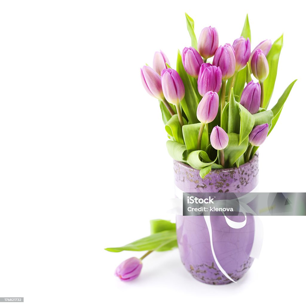 Pink tulips Pink tulips in vase on white background Beauty In Nature Stock Photo