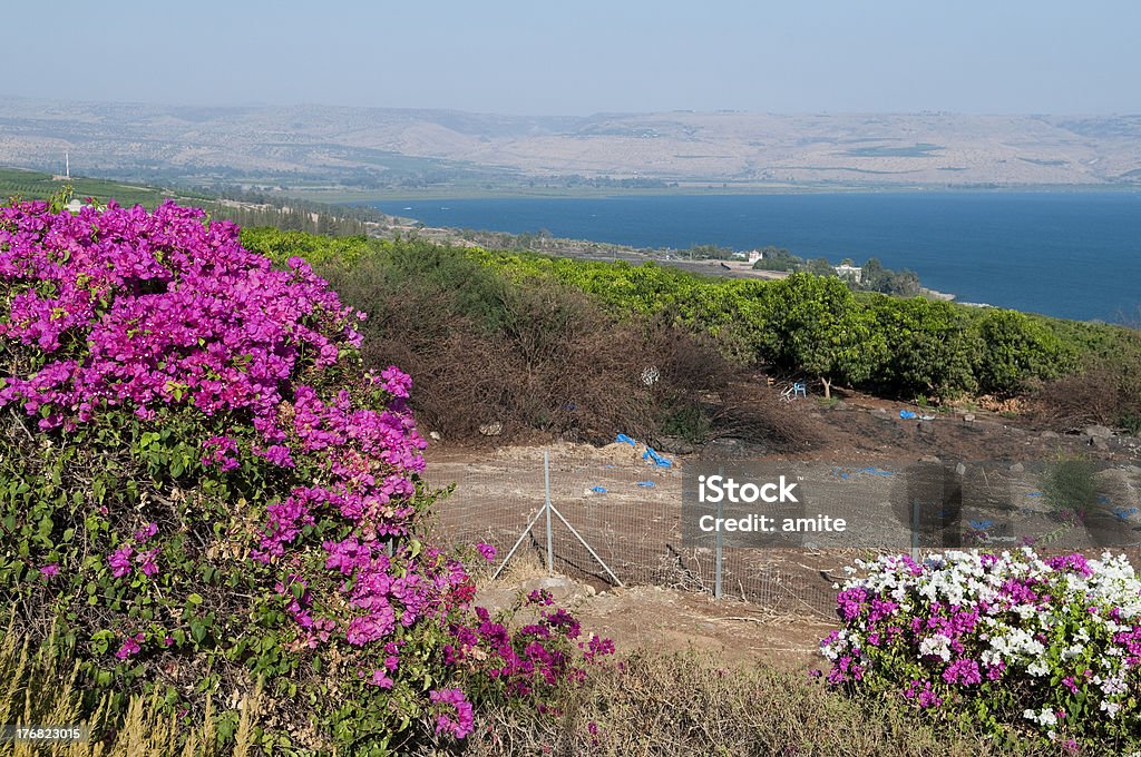 Mer de Galilée, Israël - Photo de Lac de Tibériade libre de droits