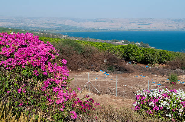 istock sea of galilee, Israel 176823015