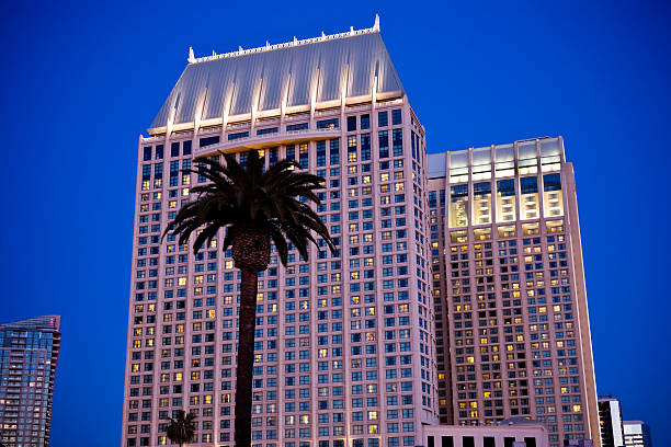 istock Downtown San Diego at Night 176823530