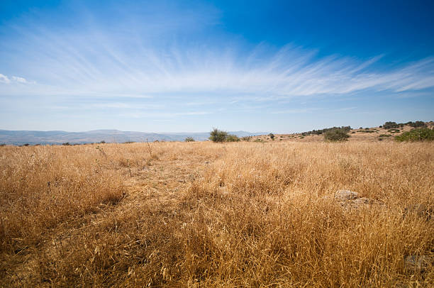 istock Gilabon Nature reserve, Israel 176823755