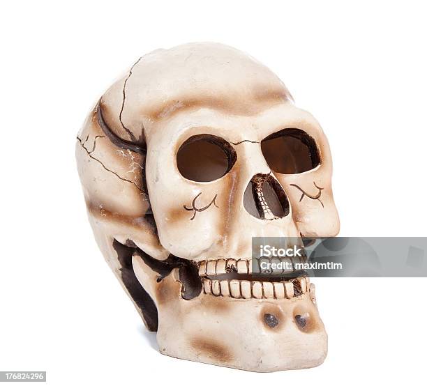 Czaszka Osoby - zdjęcia stockowe i więcej obrazów Anatomia człowieka - Anatomia człowieka, Biały, Czaszka człowieka