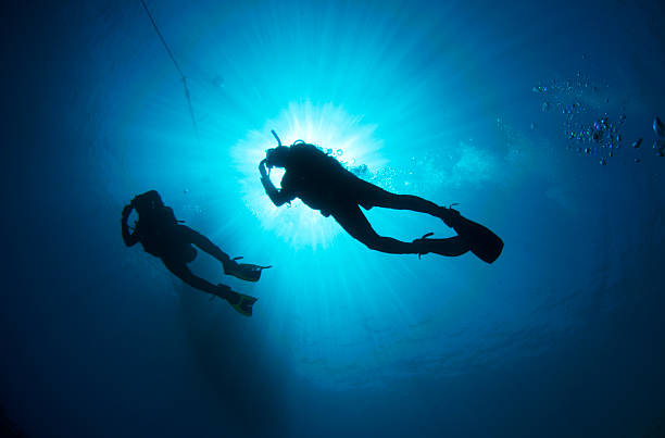 istock Scuba Diver silhouetted against the sun 176825358