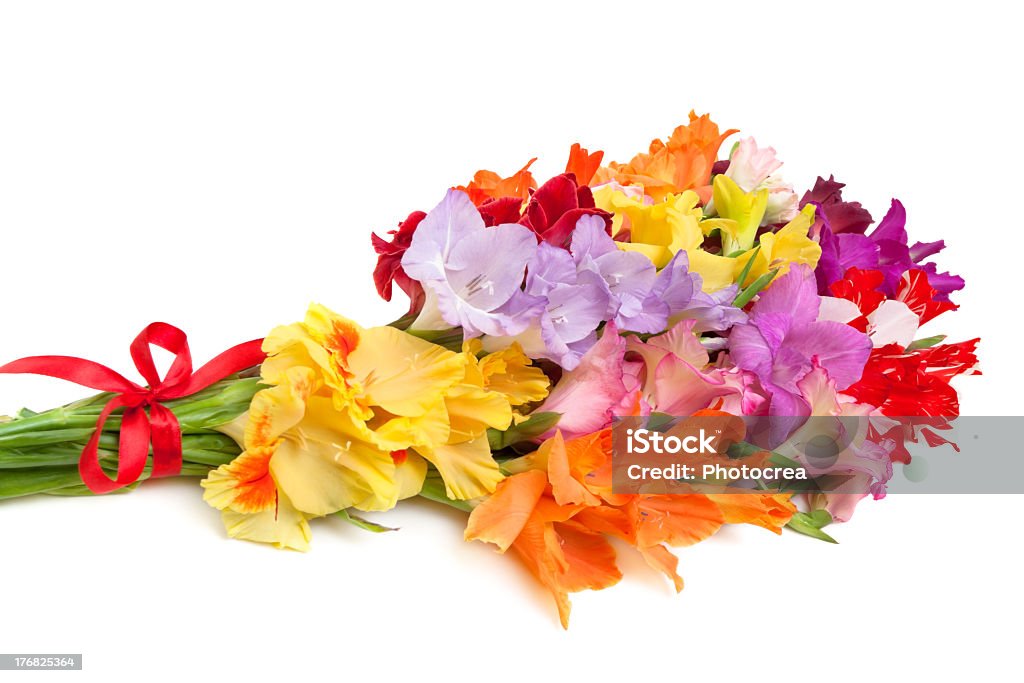 Ramo de color gladioli - Foto de stock de Gladiolo libre de derechos