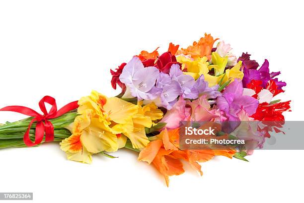 Ramo De Color Gladioli Foto de stock y más banco de imágenes de Gladiolo - Gladiolo, Belleza, Belleza de la naturaleza