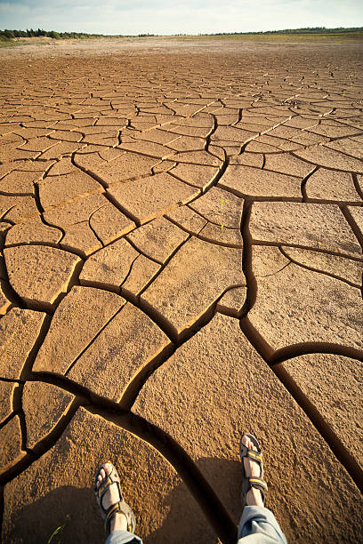 Dried land stock photo