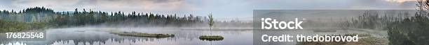 Photo libre de droit de Chalupská Slať Panorama Parc National De Šumava banque d'images et plus d'images libres de droit de Bouleau - Bouleau, Brouillard, Eau