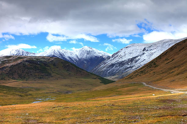 montagnes altaï. beau paysage de prairies. la russie. sibérie - remote alp snow glacier photos et images de collection