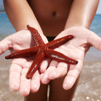 starfish in his hand