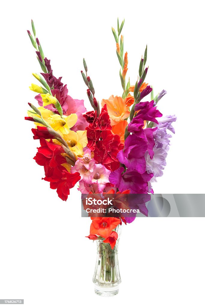 bouquet de cores Gladíolos - Royalty-free Gladíolo Foto de stock