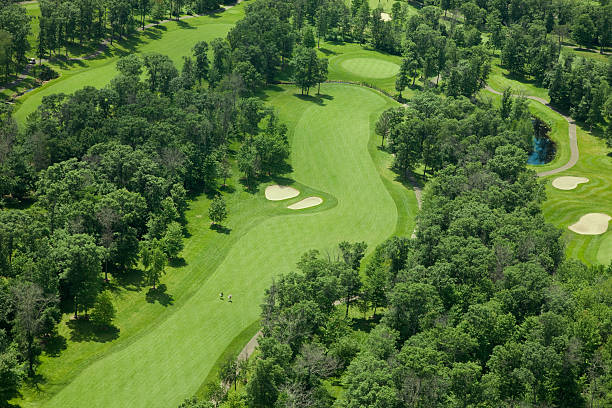 istock Aerial view of golf fairway and green 176828052