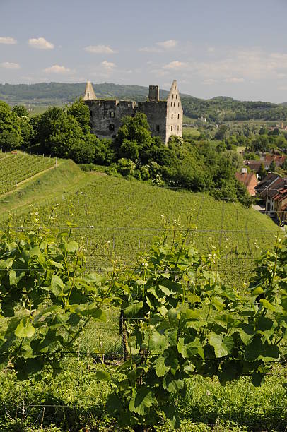 istock Castle ruin in Burkheim, Kaiserstuhl, Germany 176828249