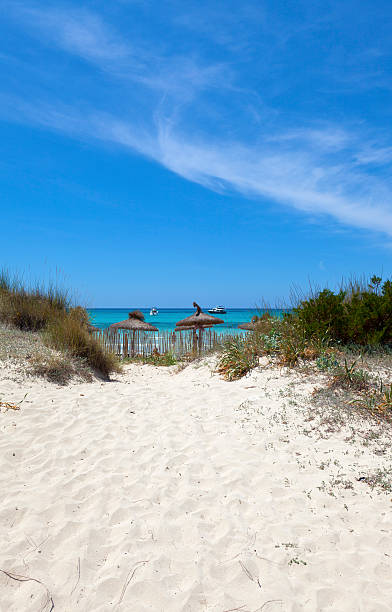 istock Beautiful Beach Of ES TRENC. 176828373