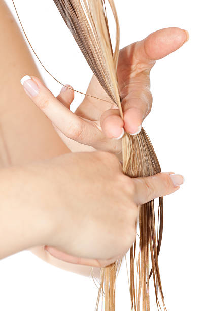 istock Woman cutting hair 176829179