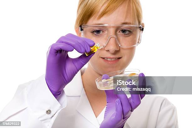 雌ラボアシスタントシャーレ試験管絶縁型 - シャーレのストックフォトや画像を多数ご用意 - シャーレ, テクノロジー, バイオテクノロジー