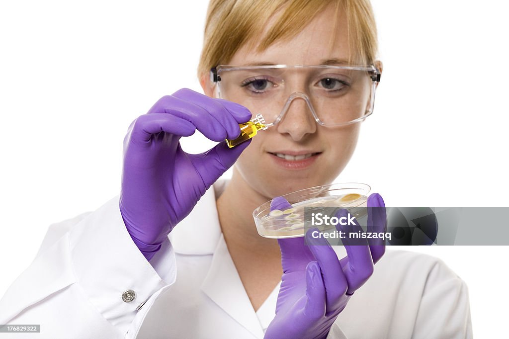 여성 연구소 이사보 페트리 접시 및 테스트 튜브, 격리됨에 - 로열티 프리 간호사 스톡 사진