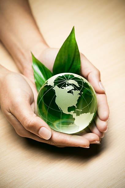istock Hands holding a glass globe with vivid green foliage 176831228
