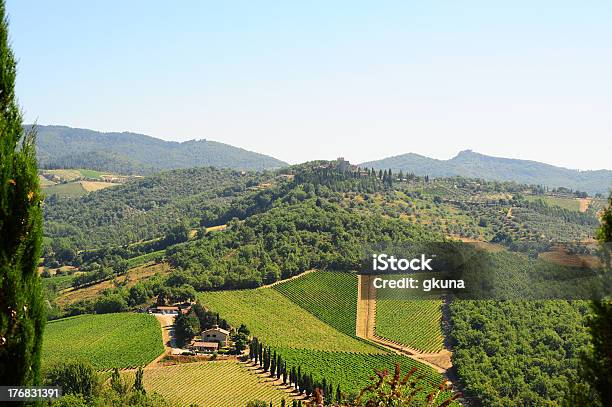 Del Chianti - Fotografie stock e altre immagini di Agricoltura - Agricoltura, Albero, Azienda vinicola