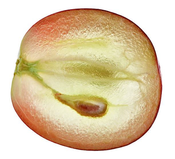 Translucent slice of red grape fruit, macro isolated on white stock photo