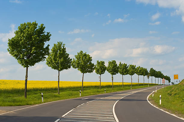 istock Country  road in Hesse/Germany 176831430