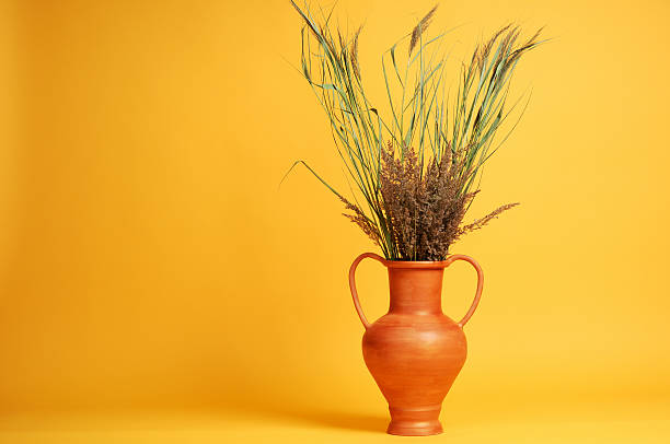 istock pitcher with a bouquet of dried herbs 176831975