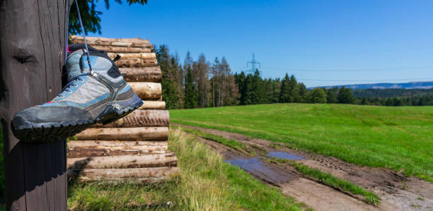 Legs of walking man in hiking pants and boots crossing boardwalk