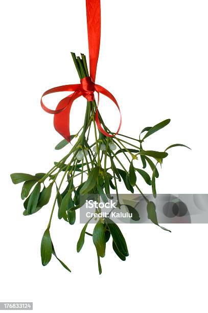 Mistletoe Hanging With A Red Ribbon Isolated On White Stock Photo - Download Image Now