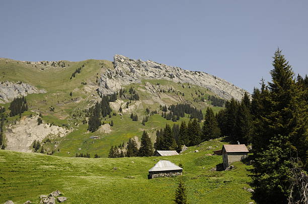 istock Alp in Switzerland 176833330