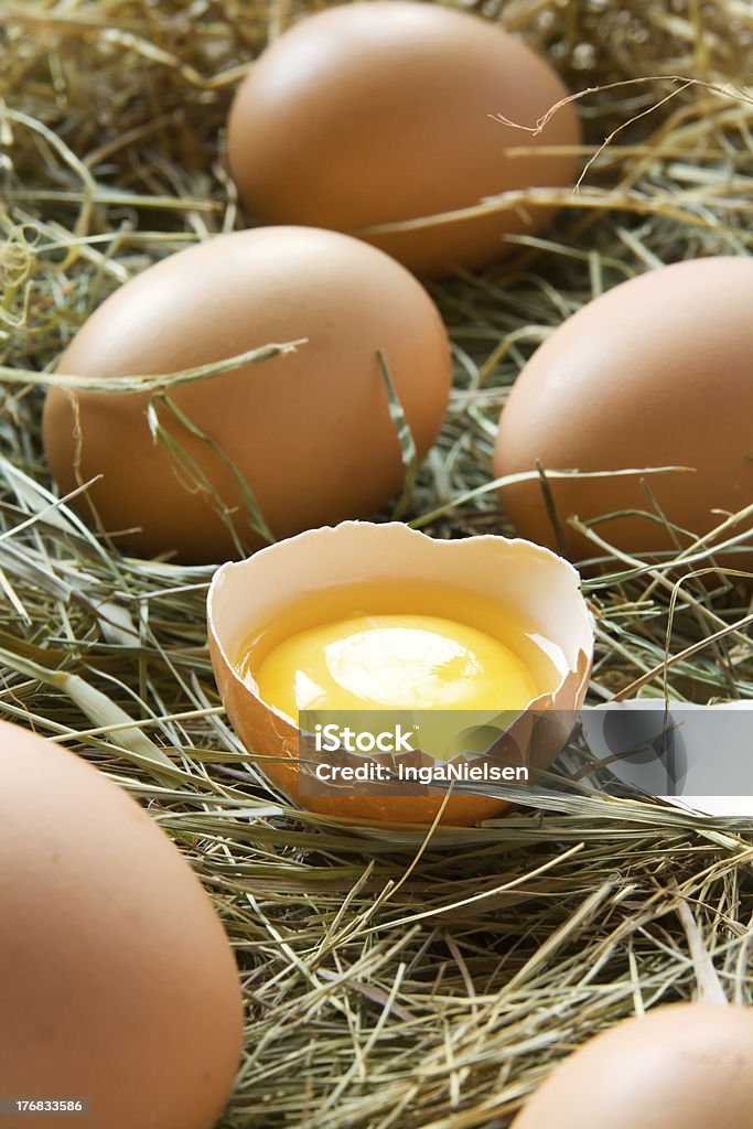 Frische Eiern - Lizenzfrei Ei Stock-Foto