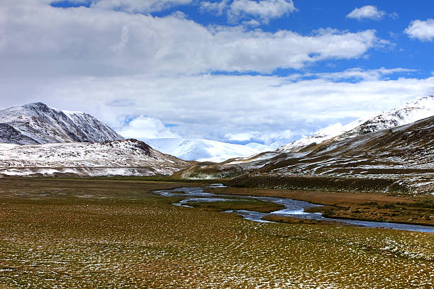 montagnes altaï. beau paysage de prairies. la russie. sibérie - remote alp snow glacier photos et images de collection