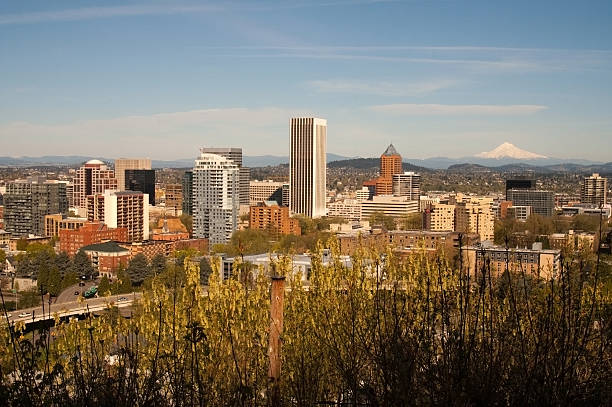 istock Horizontal Composition Portland Oregon Skyline Mount Hood at Dusk 176833883