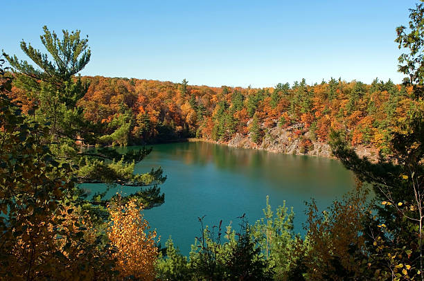 istock Lake with green water in autumn. 176834224