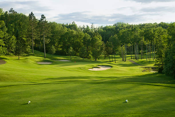 verde golf e tee nel tardo pomeriggio luce solare - campo da golf foto e immagini stock